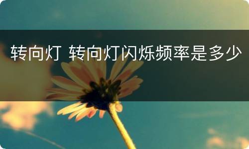 转向灯 转向灯闪烁频率是多少