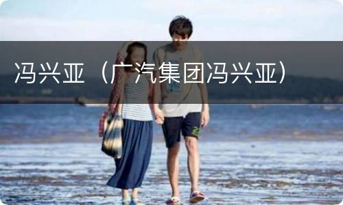 冯兴亚（广汽集团冯兴亚）