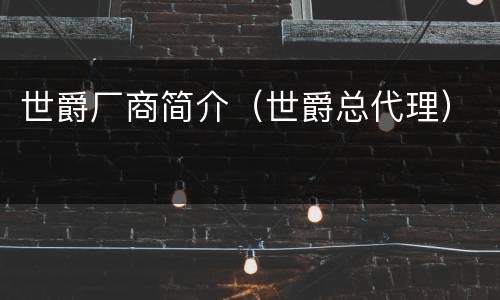 世爵厂商简介（世爵总代理）