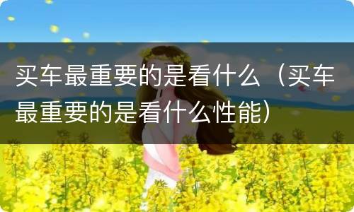 买车最重要的是看什么（买车最重要的是看什么性能）