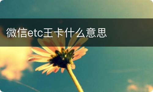 微信etc王卡什么意思