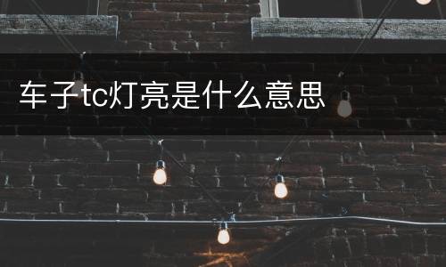 车子tc灯亮是什么意思