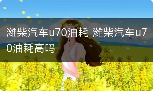潍柴汽车u70油耗 潍柴汽车u70油耗高吗