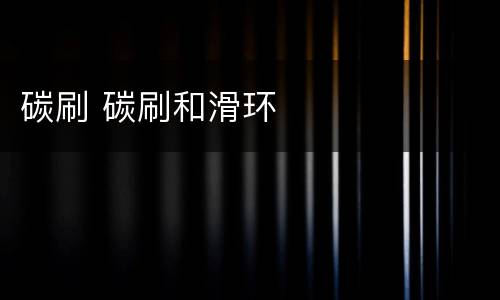 碳刷 碳刷和滑环