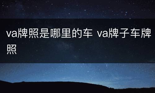 va牌照是哪里的车 va牌子车牌照