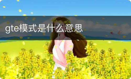 gte模式是什么意思