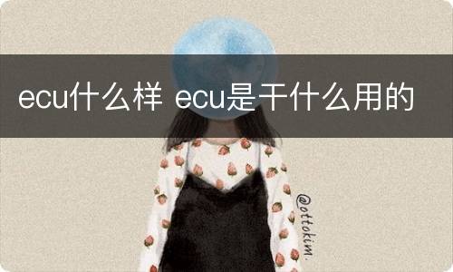 ecu什么样 ecu是干什么用的