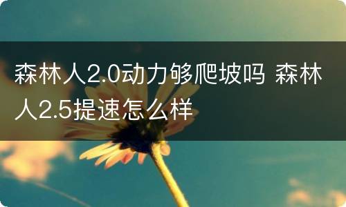 森林人2.0动力够爬坡吗 森林人2.5提速怎么样