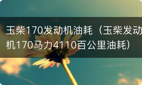 玉柴170发动机油耗（玉柴发动机170马力4110百公里油耗）