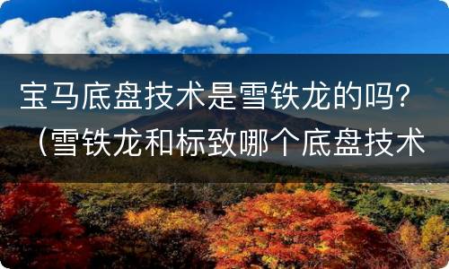 宝马底盘技术是雪铁龙的吗？（雪铁龙和标致哪个底盘技术更高）