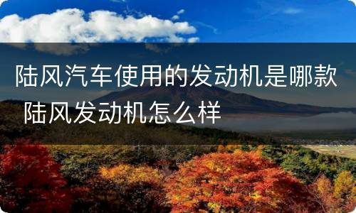 陆风汽车使用的发动机是哪款 陆风发动机怎么样