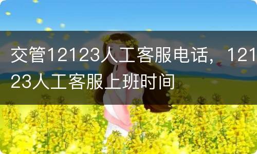 交管12123人工客服电话，12123人工客服上班时间