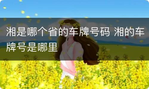 湘是哪个省的车牌号码 湘的车牌号是哪里
