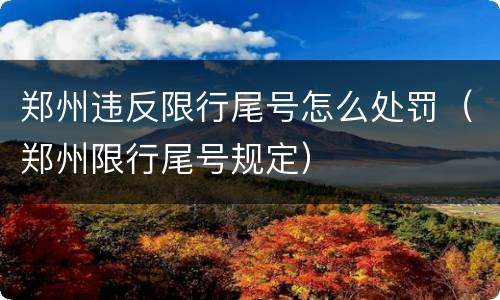 郑州违反限行尾号怎么处罚（郑州限行尾号规定）