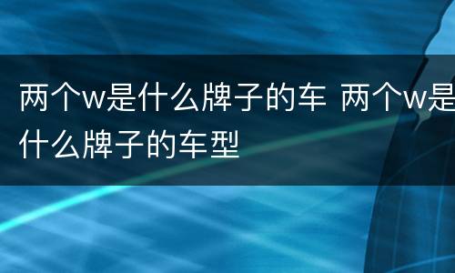 两个w是什么牌子的车 两个w是什么牌子的车型