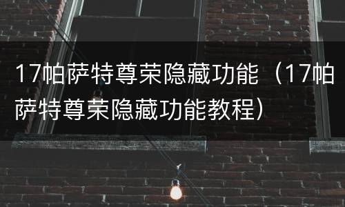 17帕萨特尊荣隐藏功能（17帕萨特尊荣隐藏功能教程）