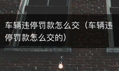 车辆违停罚款怎么交（车辆违停罚款怎么交的）
