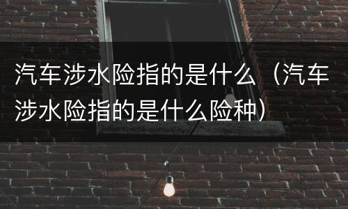 汽车涉水险指的是什么（汽车涉水险指的是什么险种）