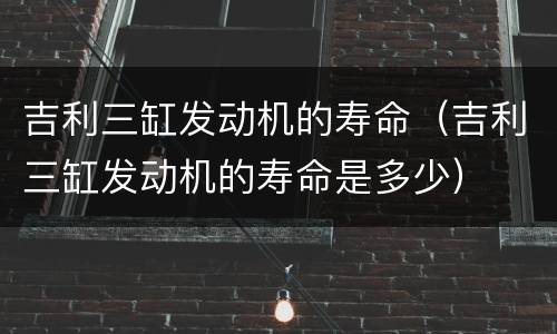 吉利三缸发动机的寿命（吉利三缸发动机的寿命是多少）