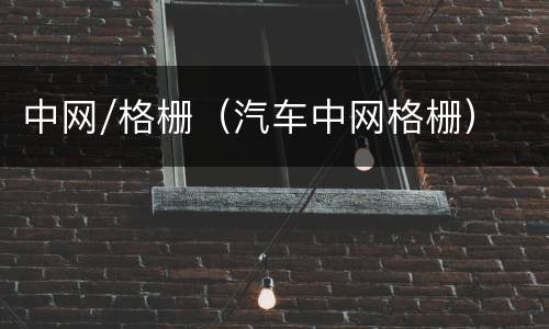 中网/格栅（汽车中网格栅）