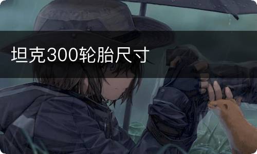 坦克300轮胎尺寸