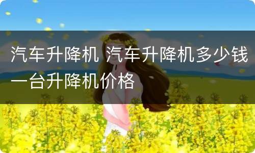 汽车升降机 汽车升降机多少钱一台升降机价格