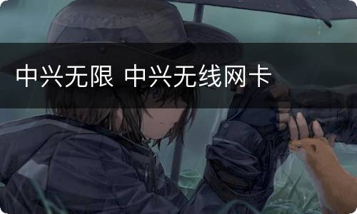 中兴无限 中兴无线网卡