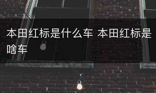 本田红标是什么车 本田红标是啥车
