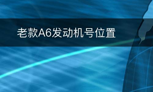 ​老款A6发动机号位置