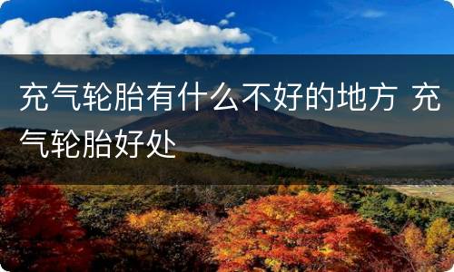 充气轮胎有什么不好的地方 充气轮胎好处