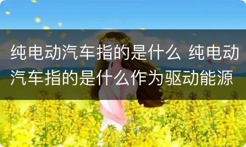 纯电动汽车指的是什么 纯电动汽车指的是什么作为驱动能源
