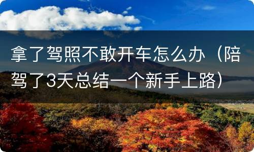 拿了驾照不敢开车怎么办（陪驾了3天总结一个新手上路）