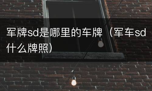 军牌sd是哪里的车牌（军车sd什么牌照）