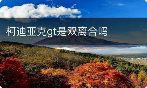 柯迪亚克gt是双离合吗