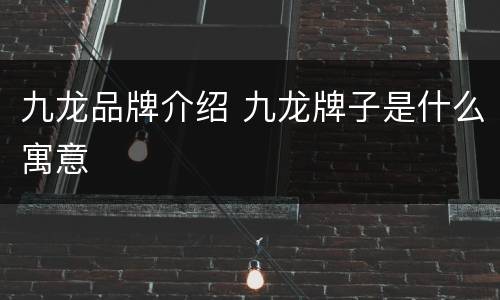 九龙品牌介绍 九龙牌子是什么寓意