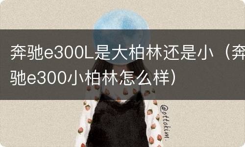 奔驰e300L是大柏林还是小（奔驰e300小柏林怎么样）