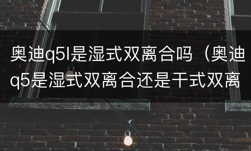 奥迪q5l是湿式双离合吗（奥迪q5是湿式双离合还是干式双离合）
