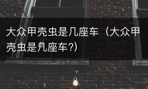 大众甲壳虫是几座车（大众甲壳虫是几座车?）