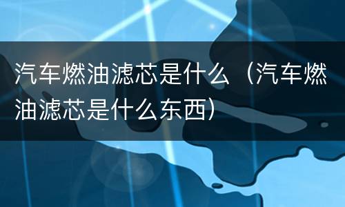 汽车燃油滤芯是什么（汽车燃油滤芯是什么东西）