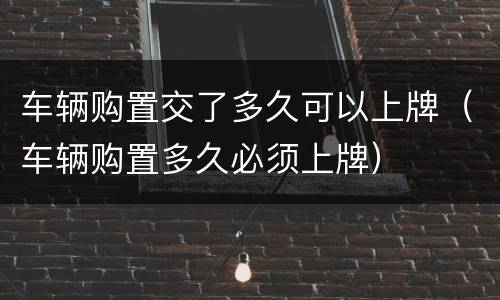 车辆购置交了多久可以上牌（车辆购置多久必须上牌）
