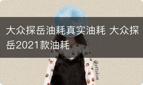 大众探岳油耗真实油耗 大众探岳2021款油耗
