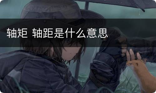 轴矩 轴距是什么意思