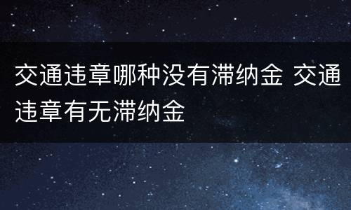 交通违章哪种没有滞纳金 交通违章有无滞纳金