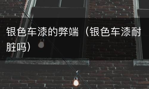 银色车漆的弊端（银色车漆耐脏吗）