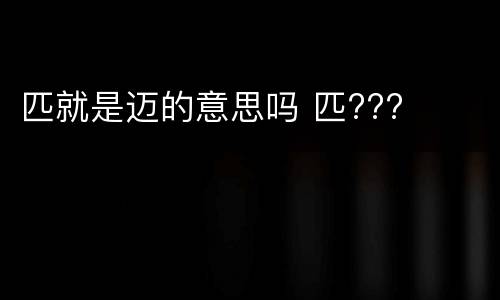 匹就是迈的意思吗 匹???