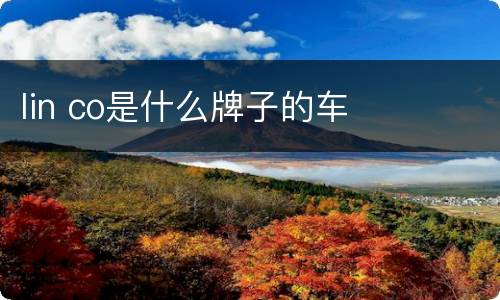 lin co是什么牌子的车