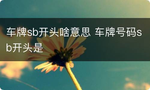 车牌sb开头啥意思 车牌号码sb开头是