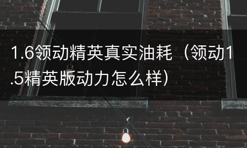 1.6领动精英真实油耗（领动1.5精英版动力怎么样）
