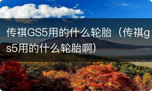 传祺GS5用的什么轮胎（传祺gs5用的什么轮胎啊）