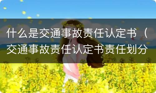 什么是交通事故责任认定书（交通事故责任认定书责任划分）